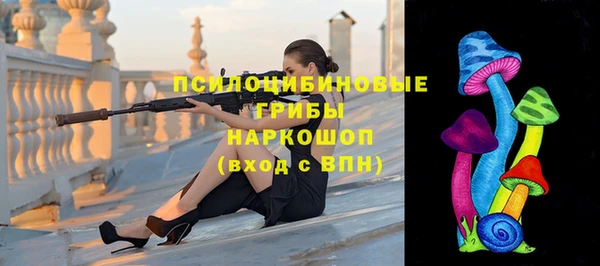 стаф Володарск